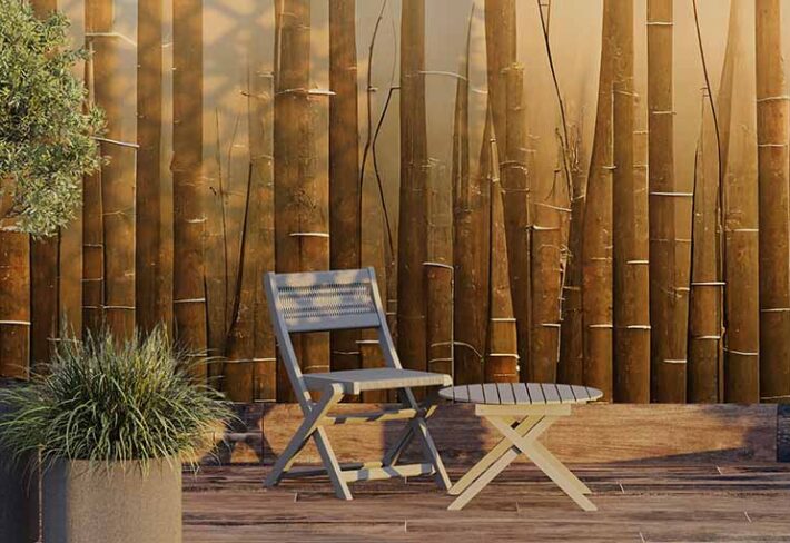 Wallpaper shop in Ooty